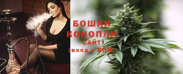 хмурый Осинники