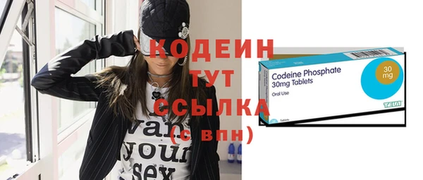 спиды Вяземский