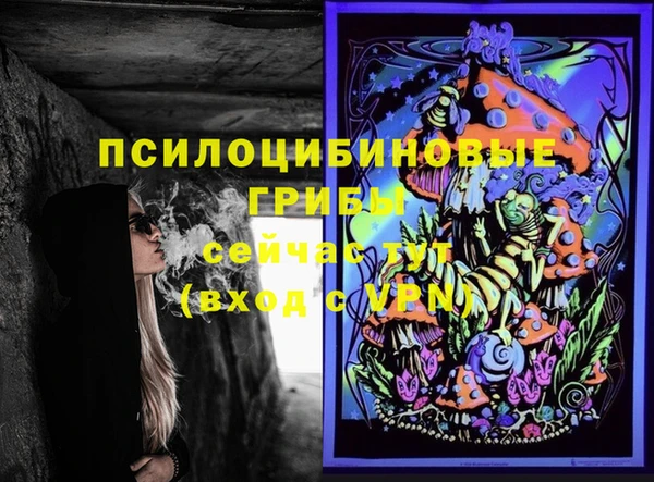 хмурый Осинники