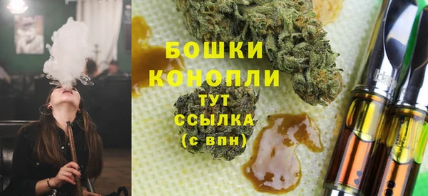 спиды Вяземский