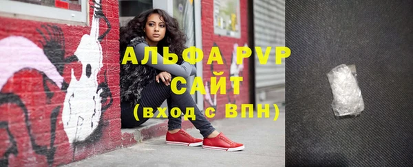 спиды Вяземский