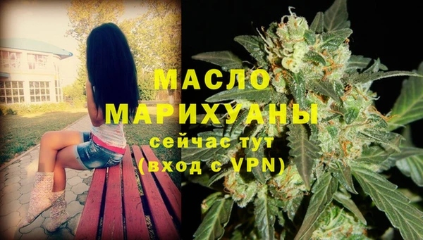 хмурый Осинники