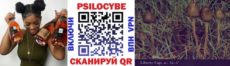 Псилоцибиновые грибы мицелий Дмитровск